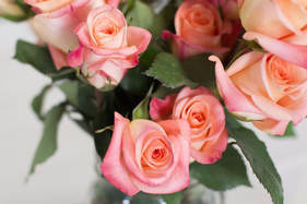 Soft Peach Wedding Roses